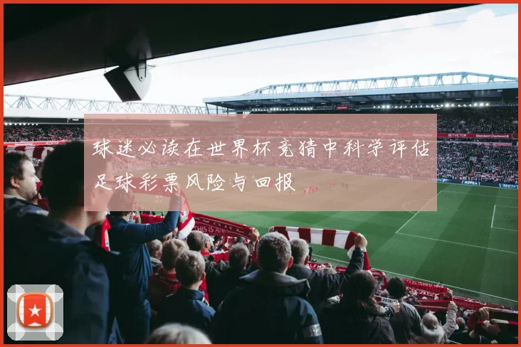 球迷必读在世界杯竞猜中科学评估足球彩票风险与回报