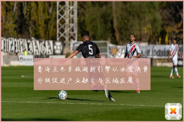 青海点冬季旅游新引擎以冰雪消费升级促进产业融合与区域发展