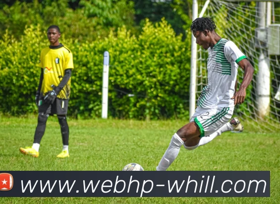 威廉希尔International平台生态图